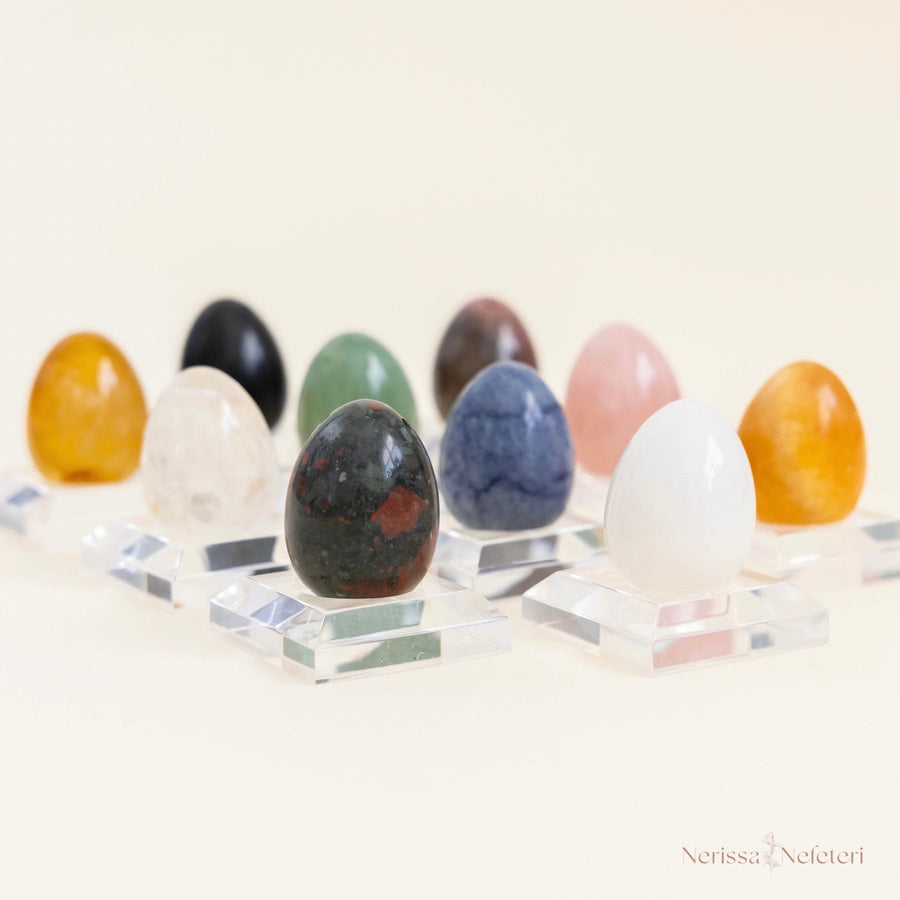 Undrilled Lotus Eggs - NerissaNefeteri